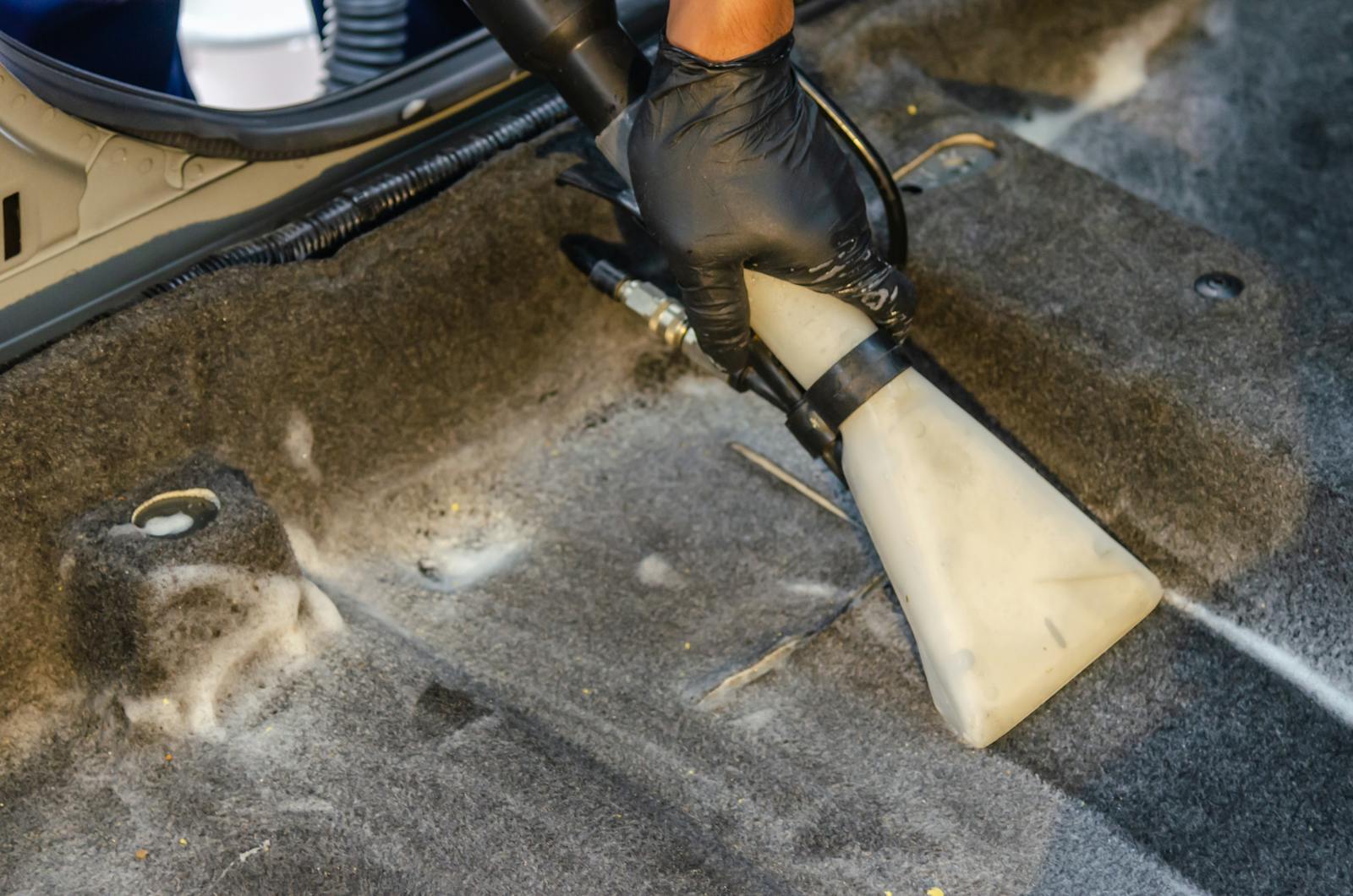 Stain/Mold Removal